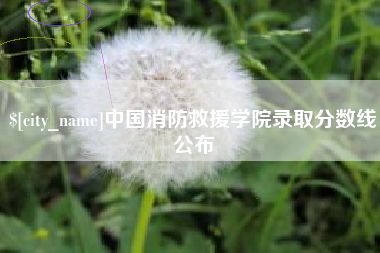 句容中国消防救援学院录取分数线公布