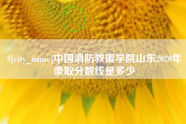句容中国消防救援学院山东2020年录取分数线是多少