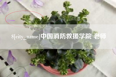 句容中国消防救援学院 老师