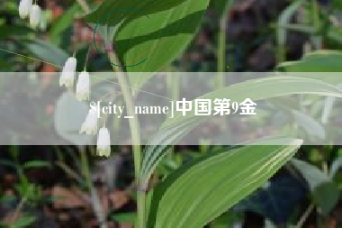 句容中国第9金