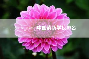 句容中国消防学校排名