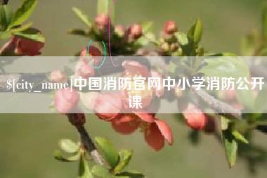句容中国消防官网中小学消防公开课