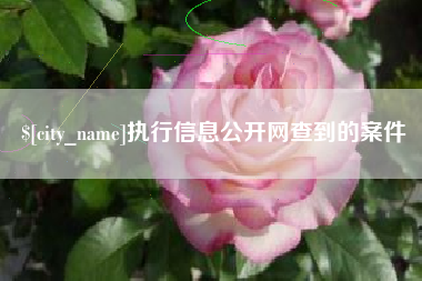句容执行信息公开网查到的案件