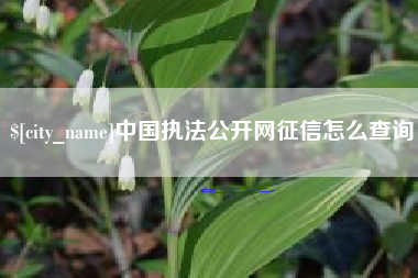 句容中国执法公开网征信怎么查询