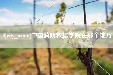 句容中国消防救援学院在那个地方
