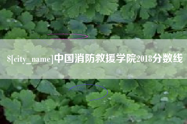 句容中国消防救援学院2018分数线