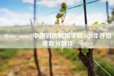 句容中国消防救援学院2020年各省录取分数线