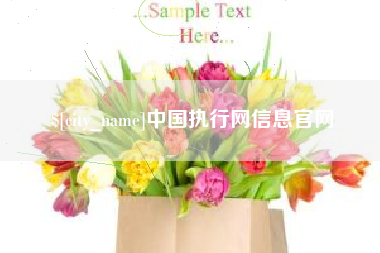 句容中国执行网信息官网