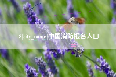 句容中国消防报名入口