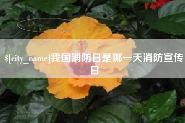 句容我国消防日是哪一天消防宣传日