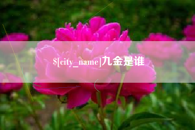 句容九金是谁