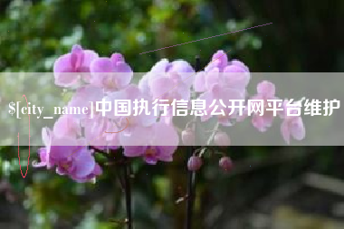 句容中国执行信息公开网平台维护