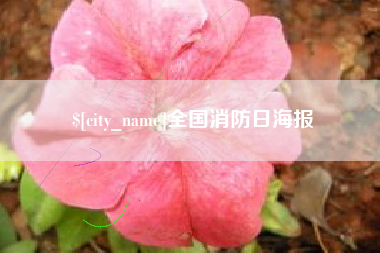 句容全国消防日海报