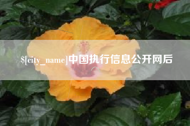 句容中国执行信息公开网后