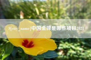 句容中国金牌是哪些项目2021