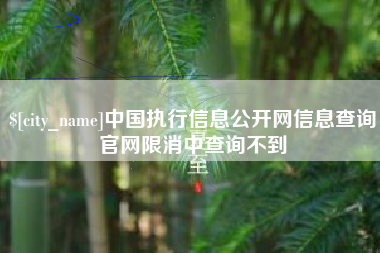 句容中国执行信息公开网信息查询官网限消中查询不到