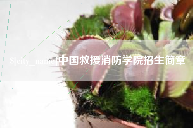句容中国救援消防学院招生简章
