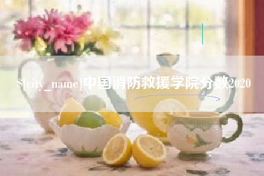 句容中国消防救援学院分数2020
