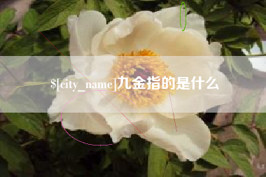 句容九金指的是什么