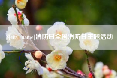 句容消防日全国消防日主题活动