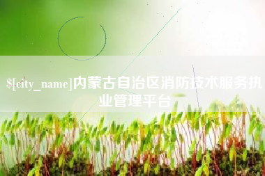 句容内蒙古自治区消防技术服务执业管理平台