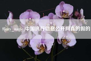 句容中国执行信息公开网真的假的