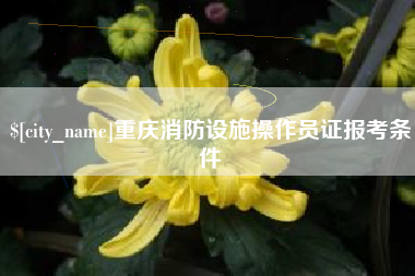 句容重庆消防设施操作员证报考条件