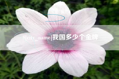 句容我国多少个金牌