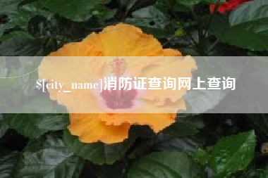 句容消防证查询网上查询