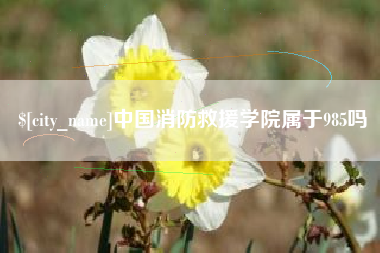句容中国消防救援学院属于985吗