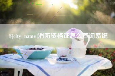句容消防资格证怎么查询系统
