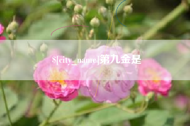 句容第九金是