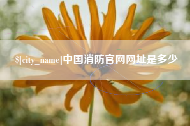 句容中国消防官网网址是多少
