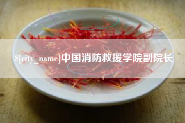句容中国消防救援学院副院长