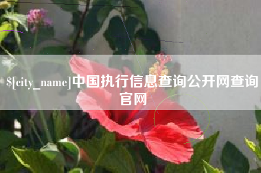 句容中国执行信息查询公开网查询官网