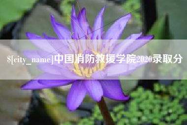 句容中国消防救援学院2020录取分