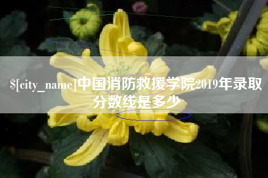 句容中国消防救援学院2019年录取分数线是多少