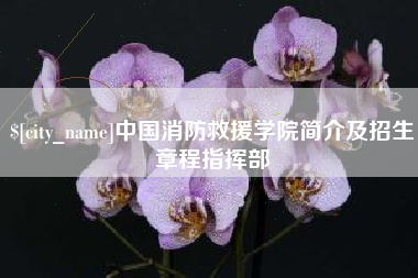 句容中国消防救援学院简介及招生章程指挥部