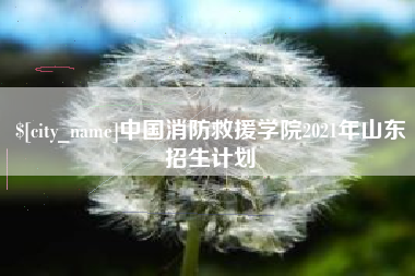 句容中国消防救援学院2021年山东招生计划