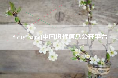 句容中国执行信息公开平台
