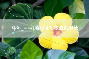 句容消防证初级查询系统