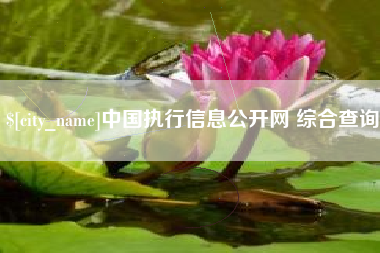 句容中国执行信息公开网 综合查询