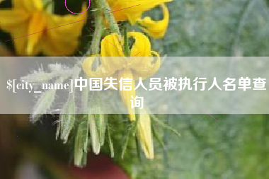 句容中国失信人员被执行人名单查询
