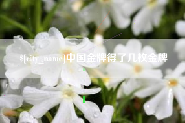 句容中国金牌得了几枚金牌