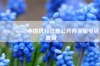 句容中国执行信息公开网客服电话查询