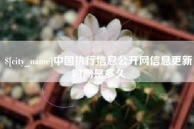 句容中国执行信息公开网信息更新时间是多久