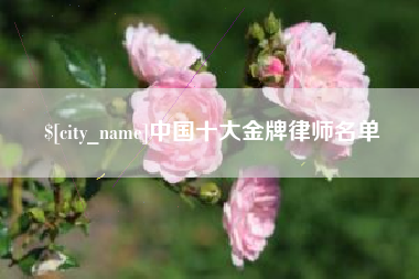 句容中国十大金牌律师名单