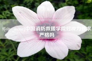句容中国消防救援学院对视力要求严格吗