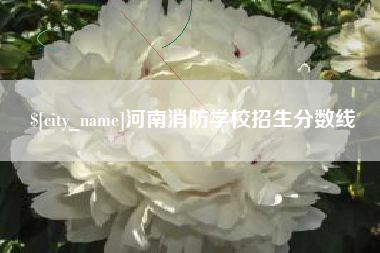 句容河南消防学校招生分数线