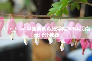句容中国消防救援学院2020年河南录取分数线